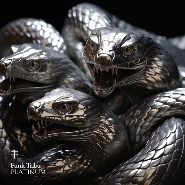 Platinum - Single album cover