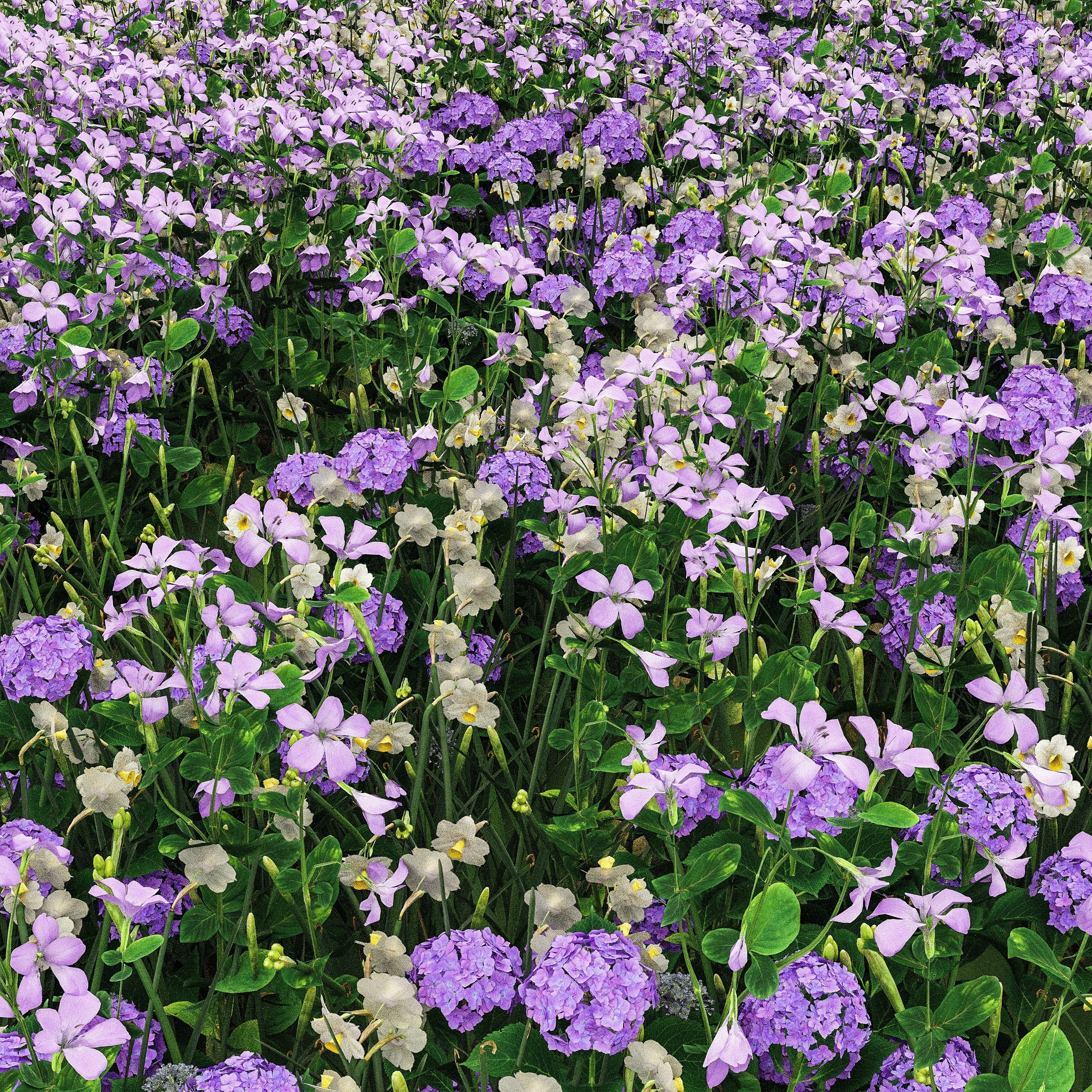 Heaven is a place, 2024 (Deluxe) album cover