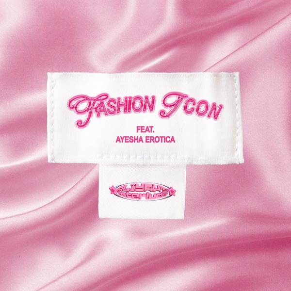 Fashion Icon (feat. Ayesha Erotica) - Single album cover