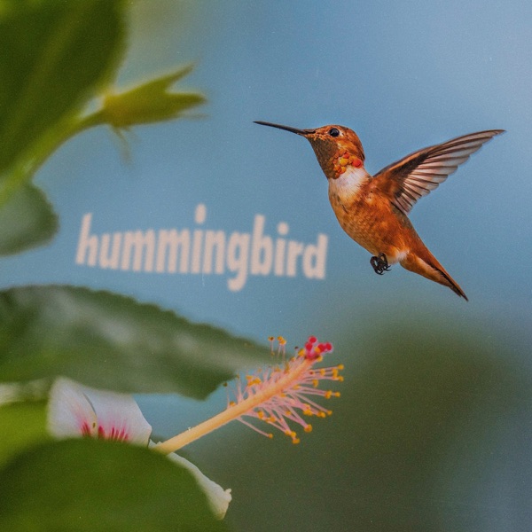 Hummingbird - Single album cover