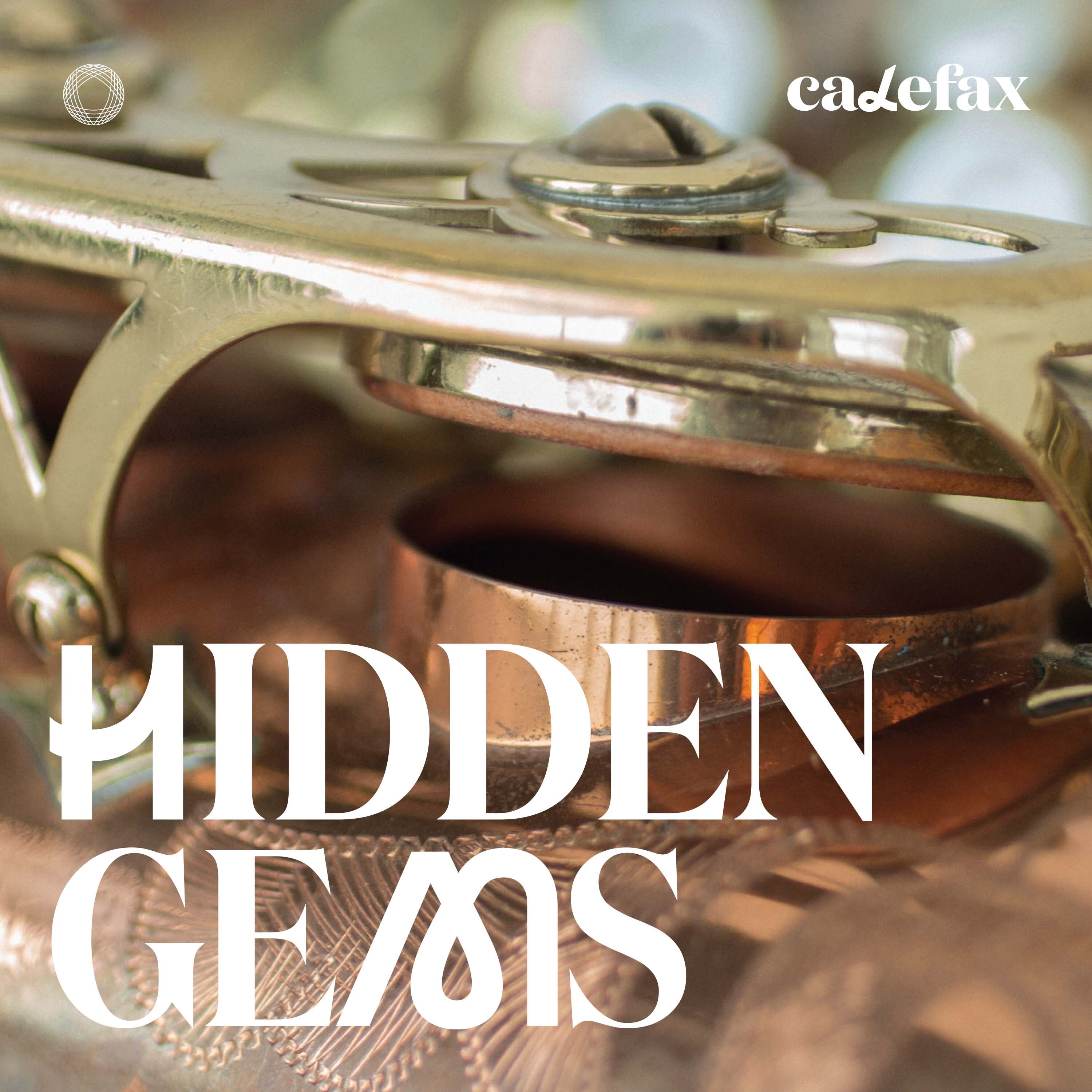 Hidden Gems album cover
