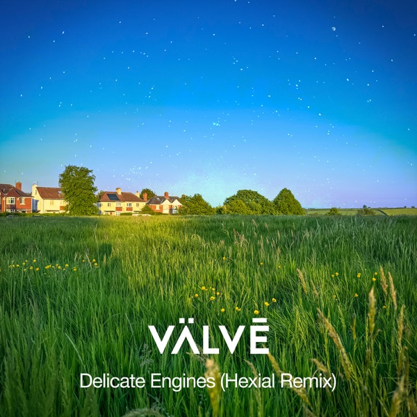 Delicate Engines (Hexial Remix) - Single album cover