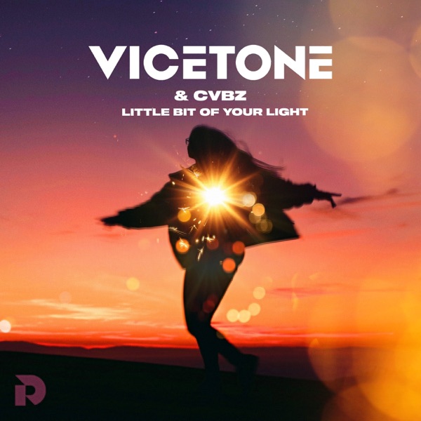 Little Bit Of Your Light - Single album cover