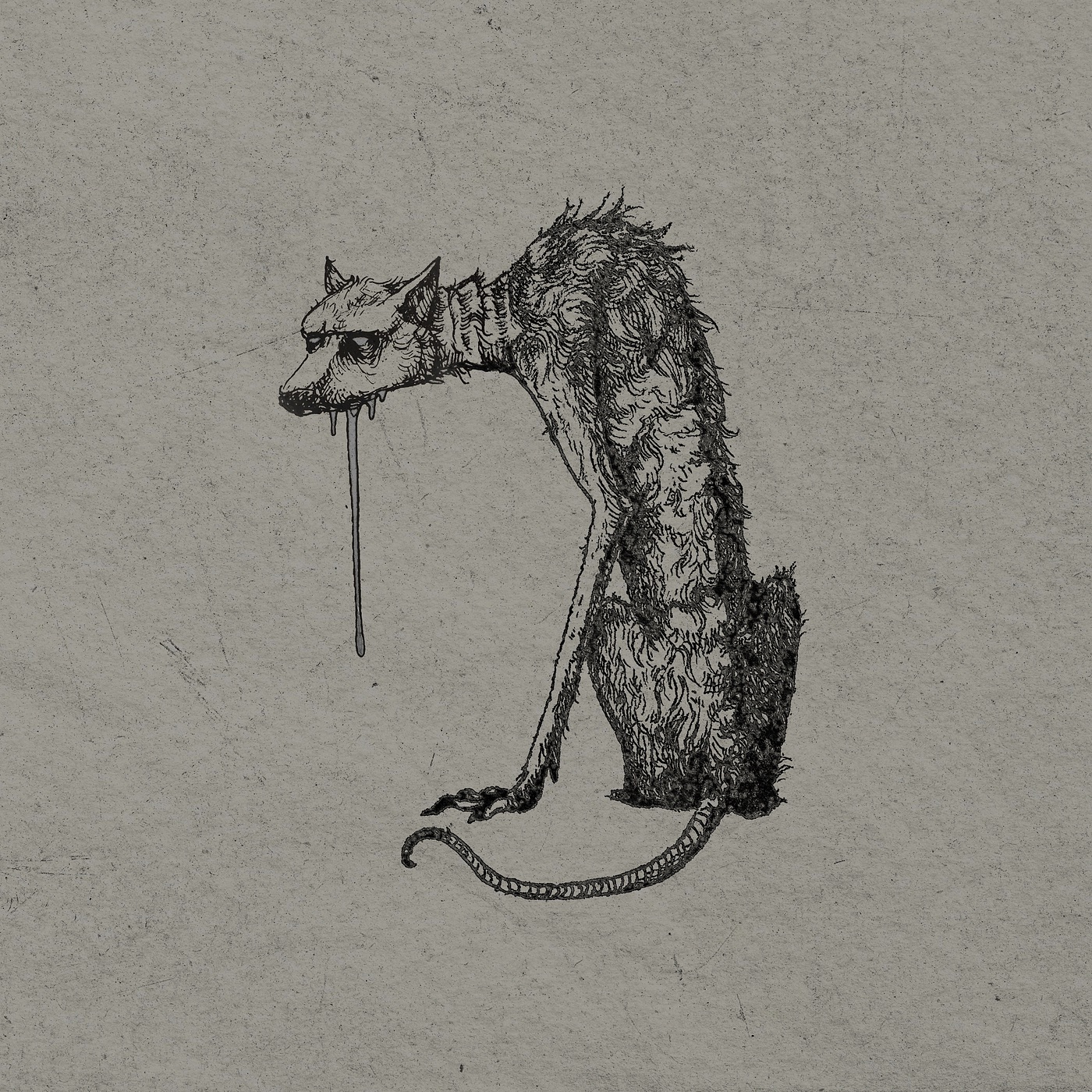Dog's Dinner - Single album cover