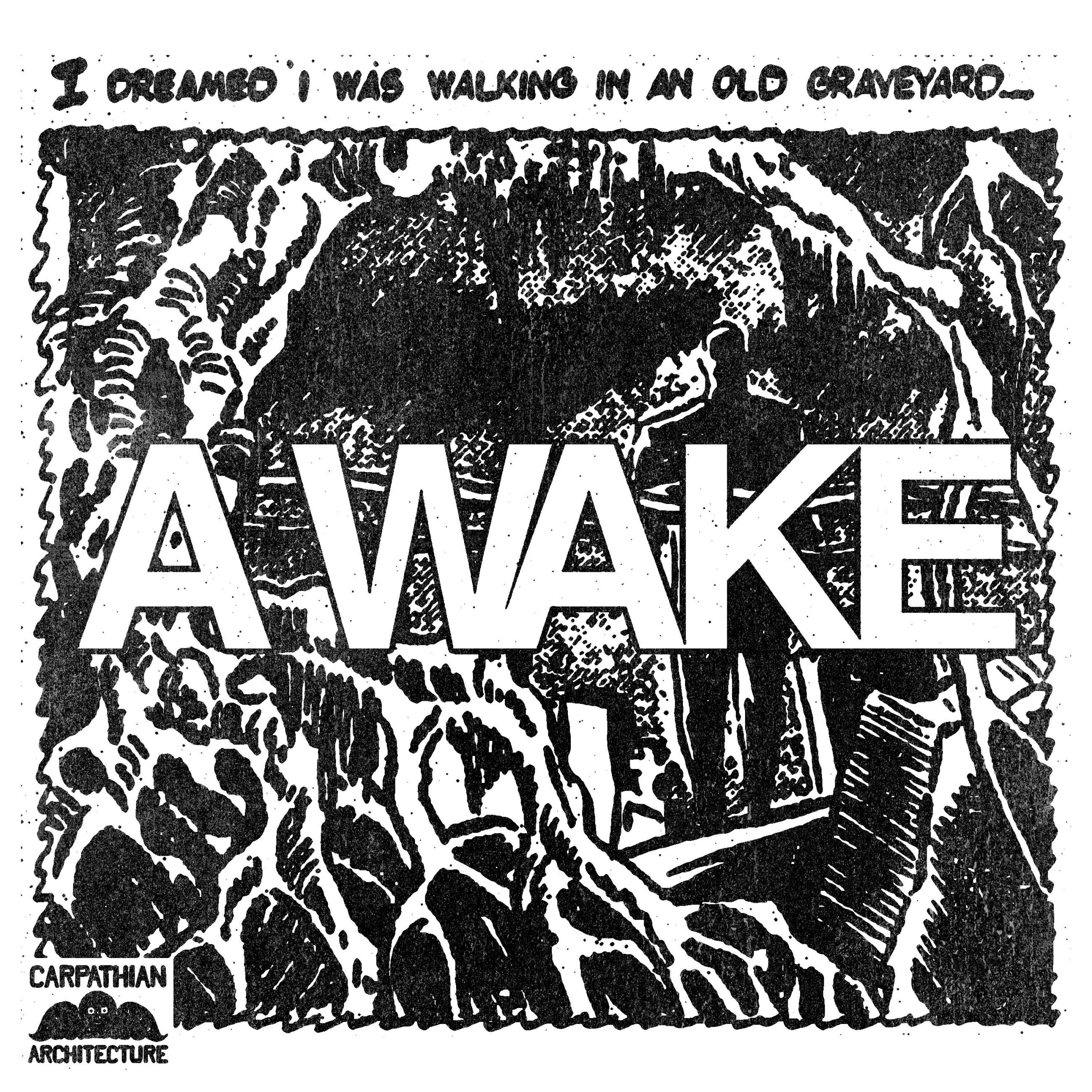 A WAKE - Single album cover
