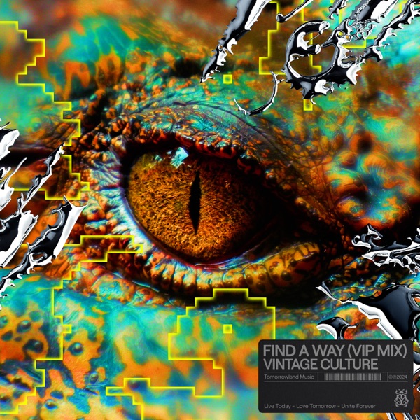 Find A Way (VIP Mix) - Single album cover