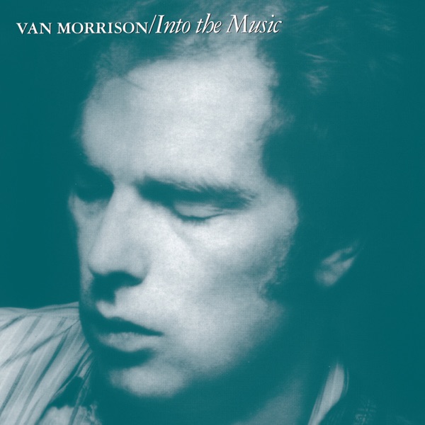 Into the Music (Bonus Track Version) album cover