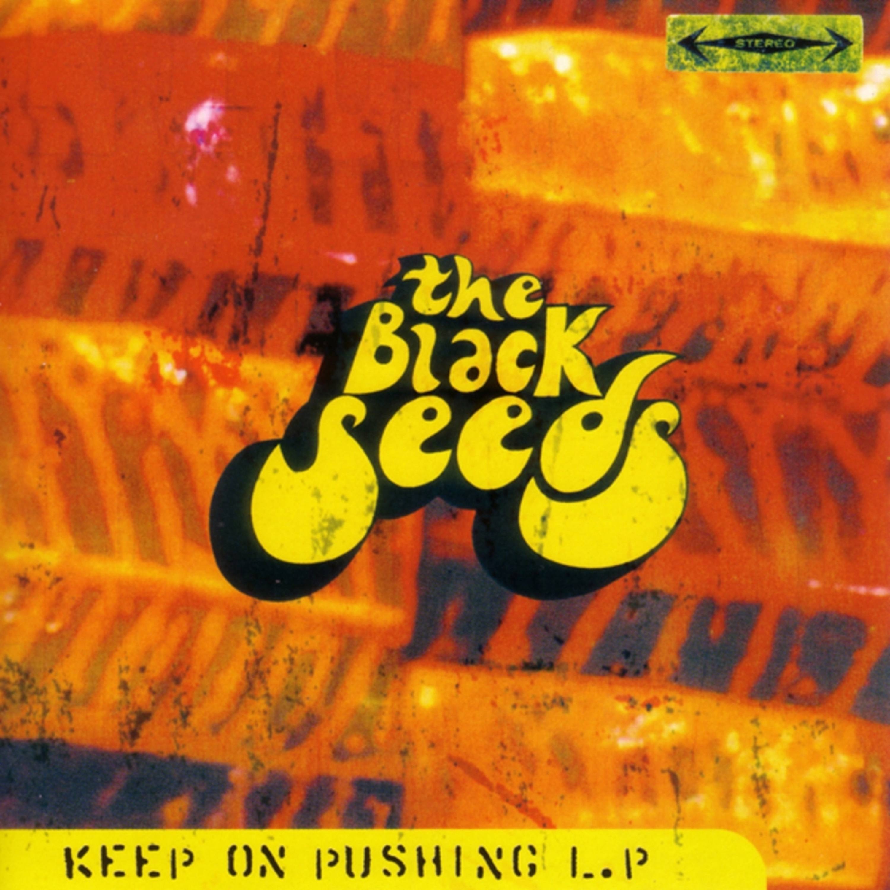 Keep on Pushing album cover