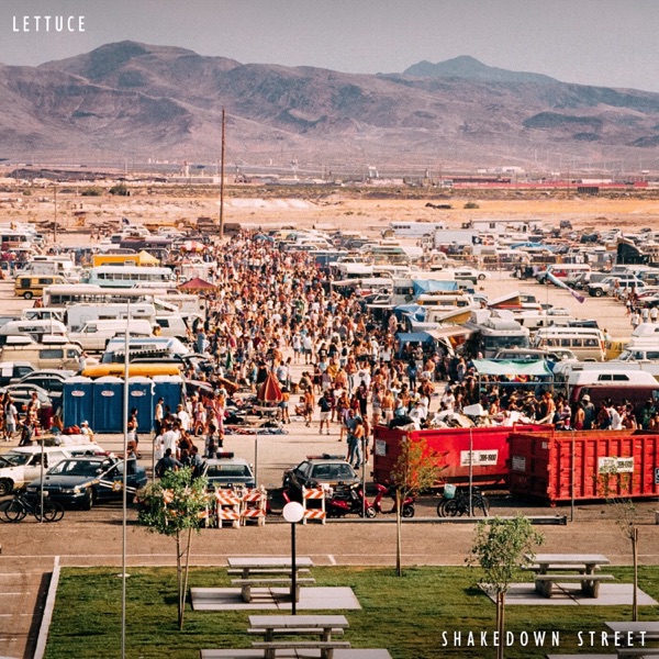 Shakedown Street - Single album cover