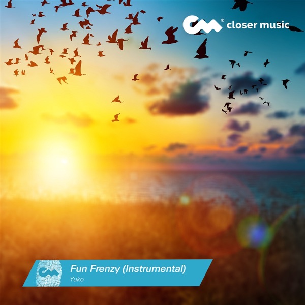 Fun Frenzy (Instrumental) - Single album cover