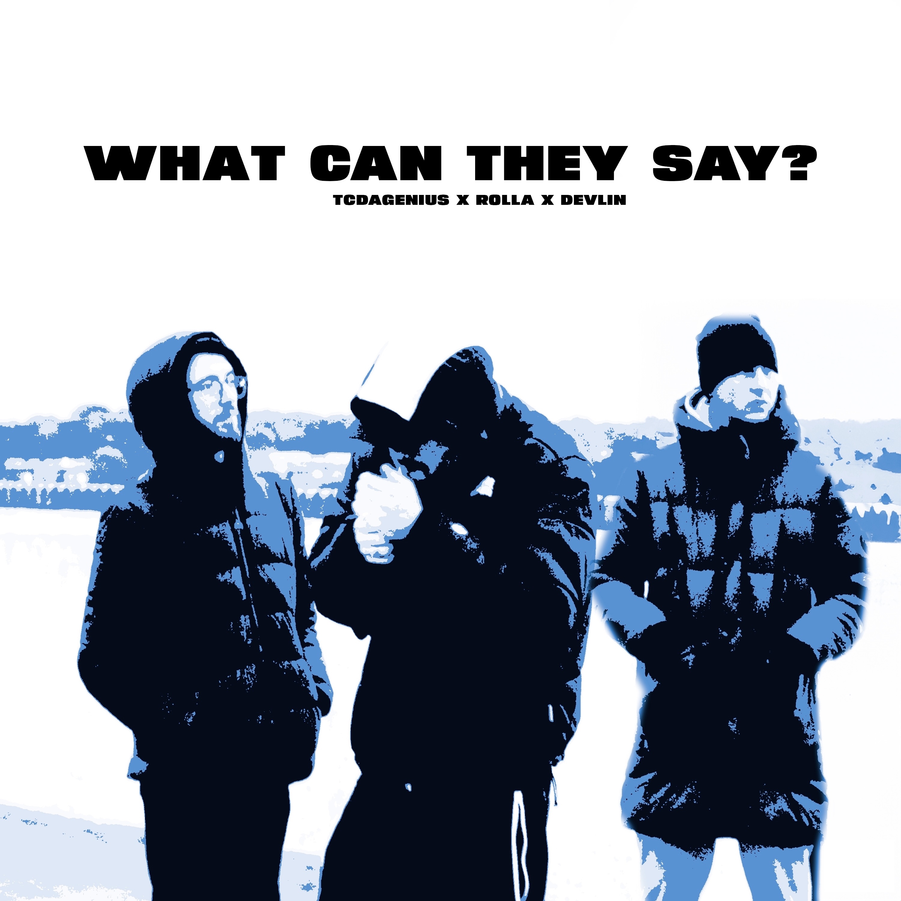 What Can They Say (feat. Devlin) - Single album cover