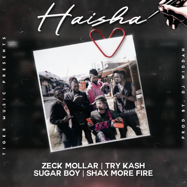 Haisha (feat. Shax more fire, Try Cash & Sugar Boy) - Single album cover