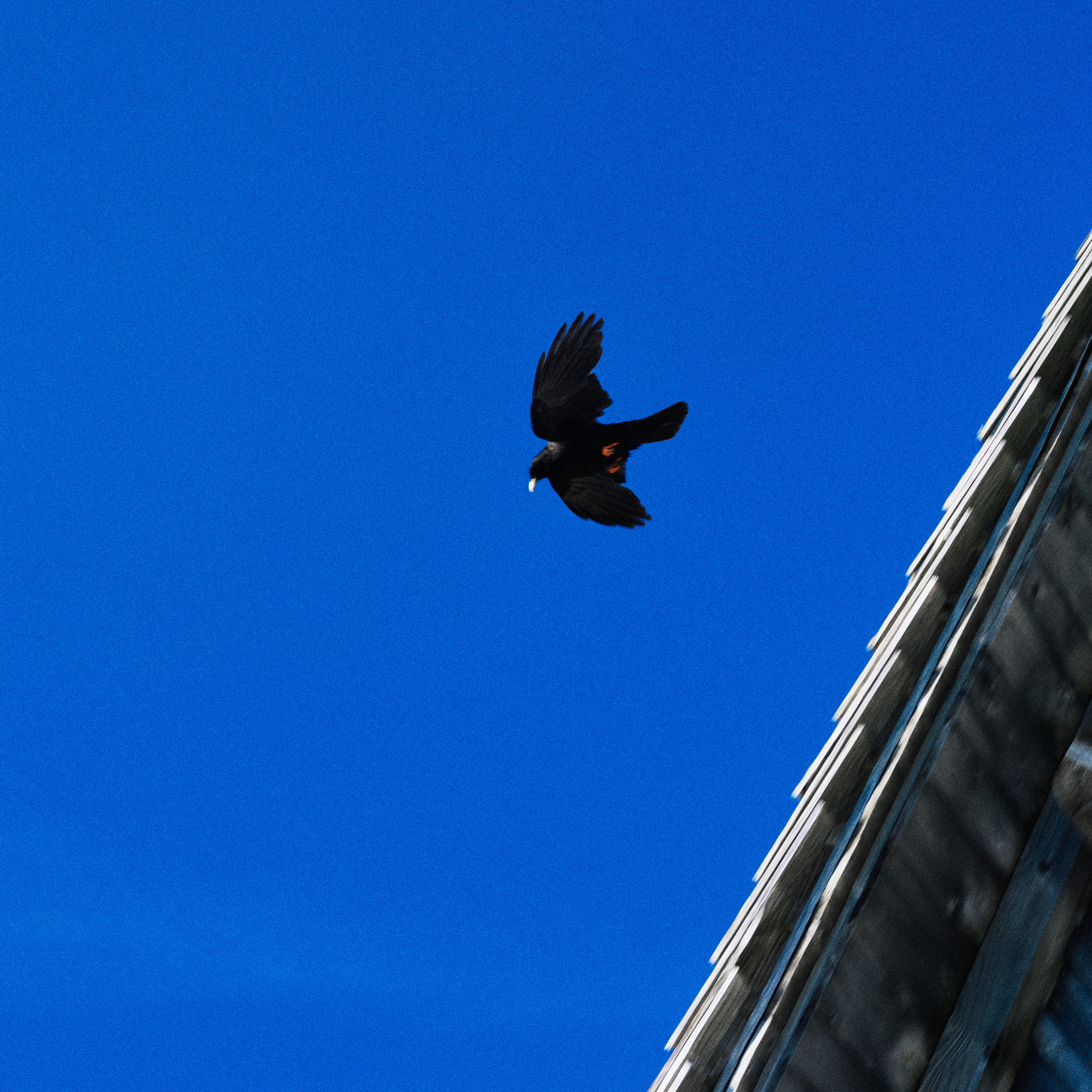 Tout résonne - Single album cover