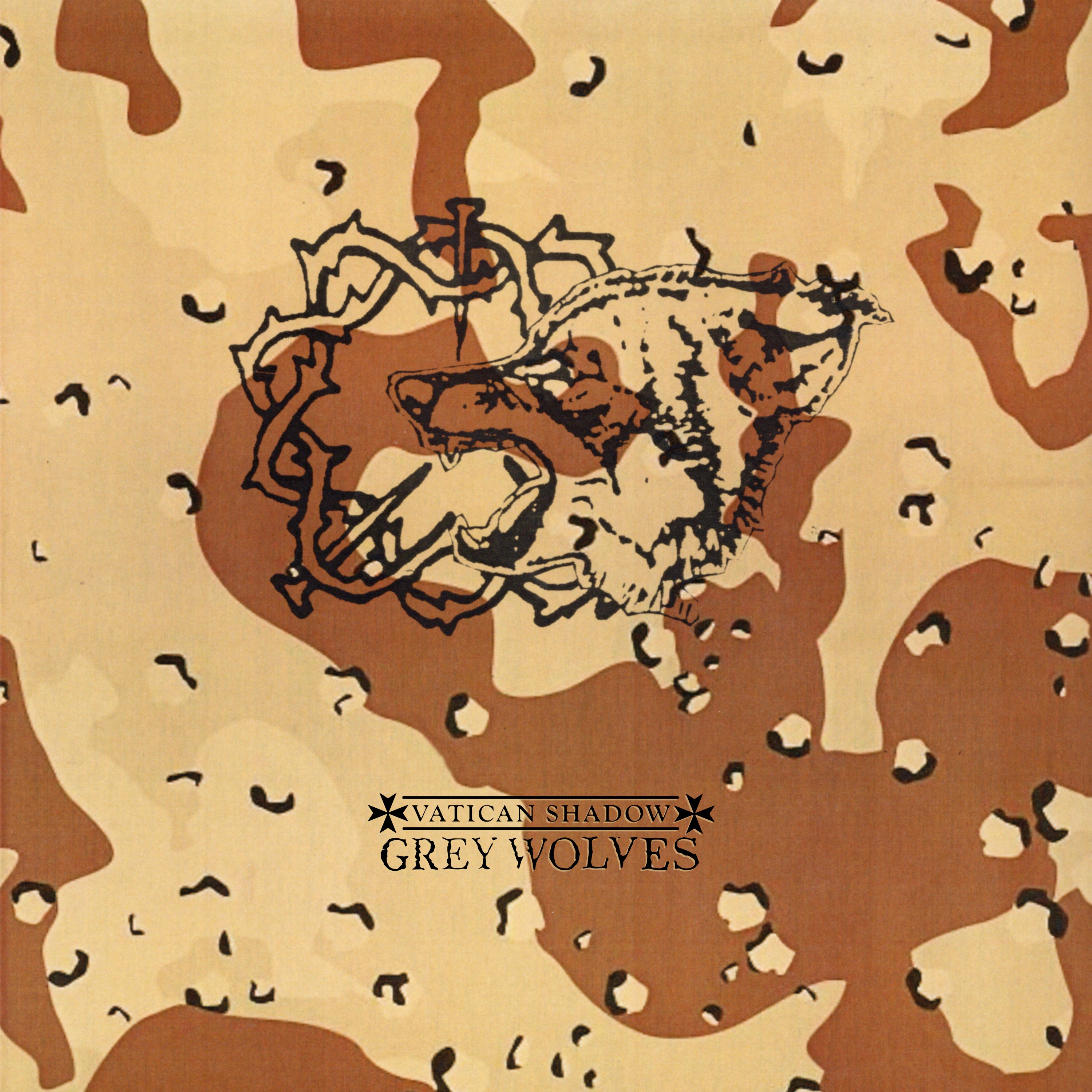 Sickness In The Right - Gulf War Syndrome album cover