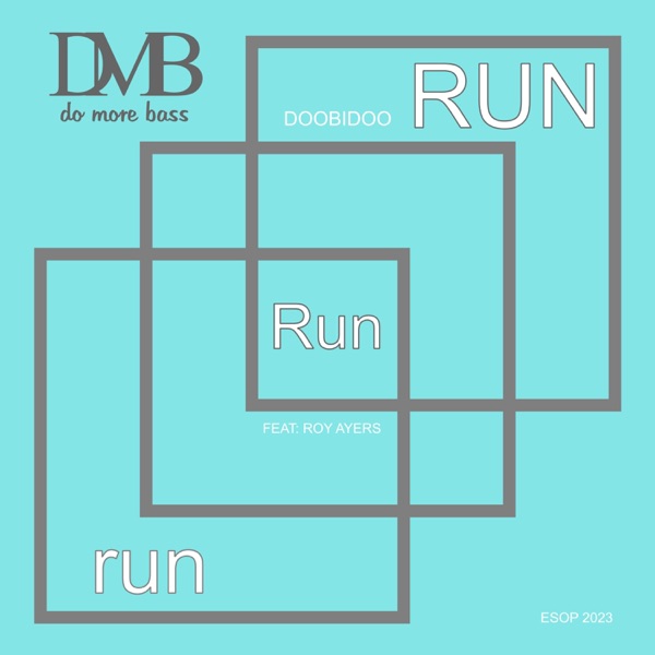 RUN Run run (feat. Roy Ayers) - Single album cover