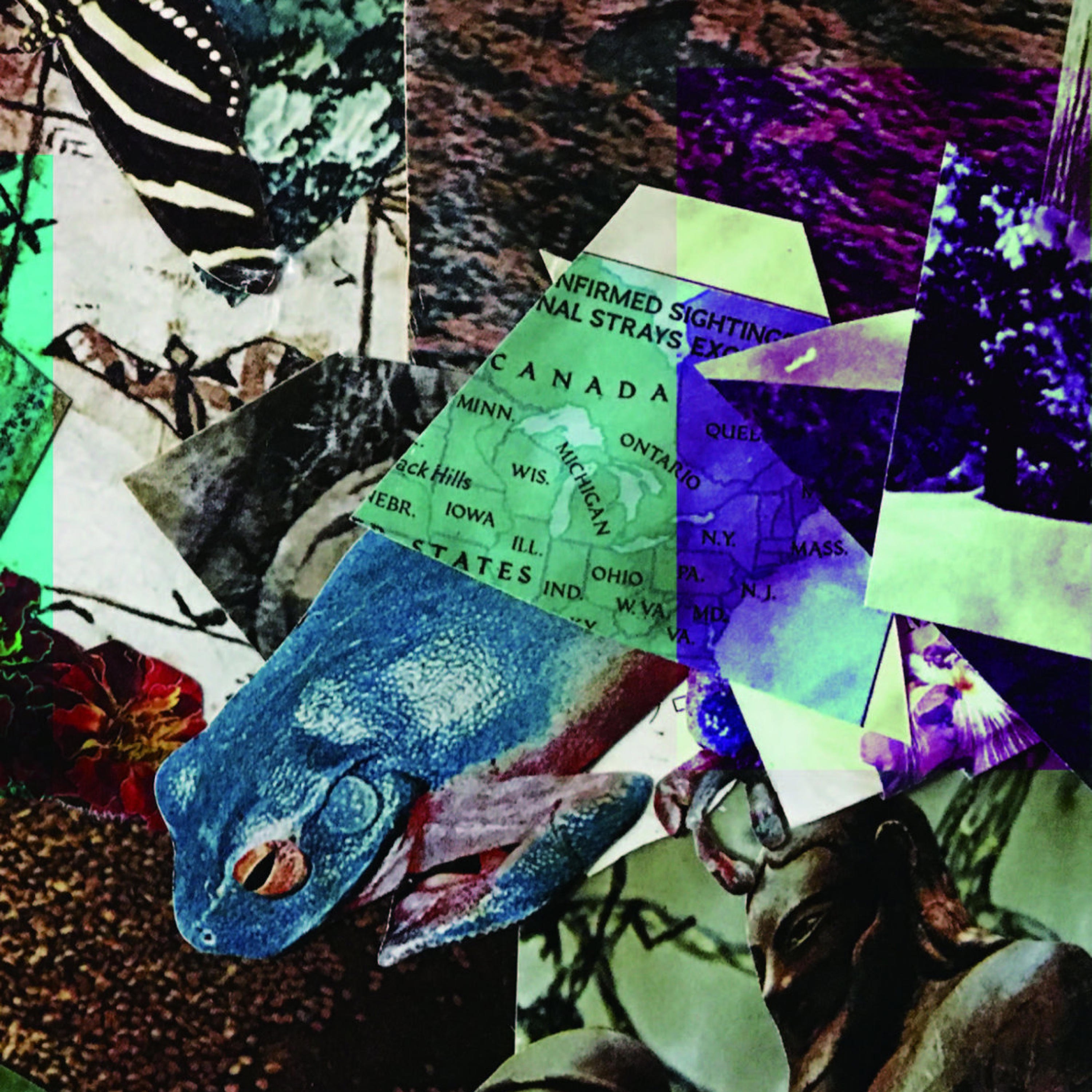 Sugamo Flower album cover