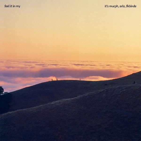 Feel it in My - Single album cover