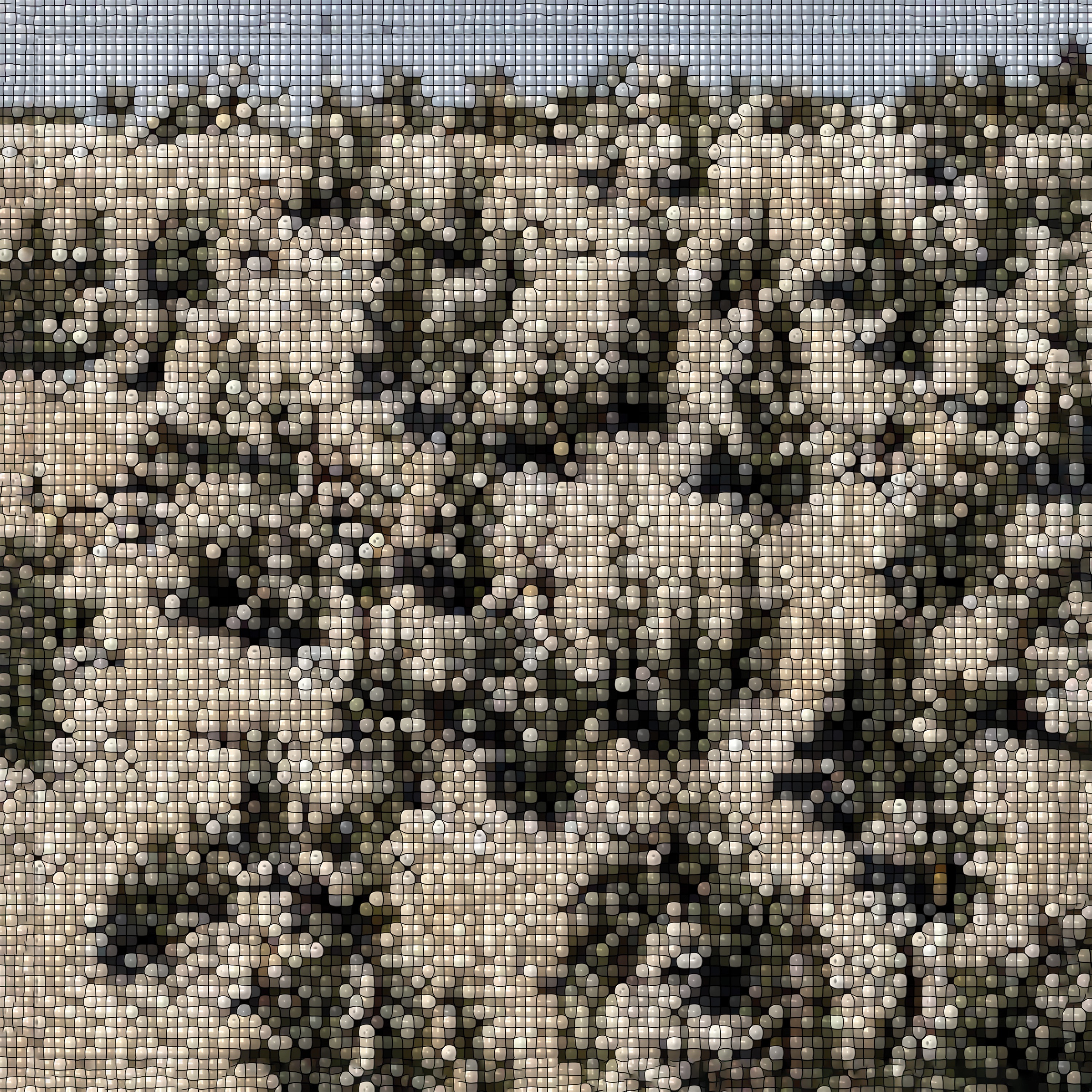 Extra Stars album cover