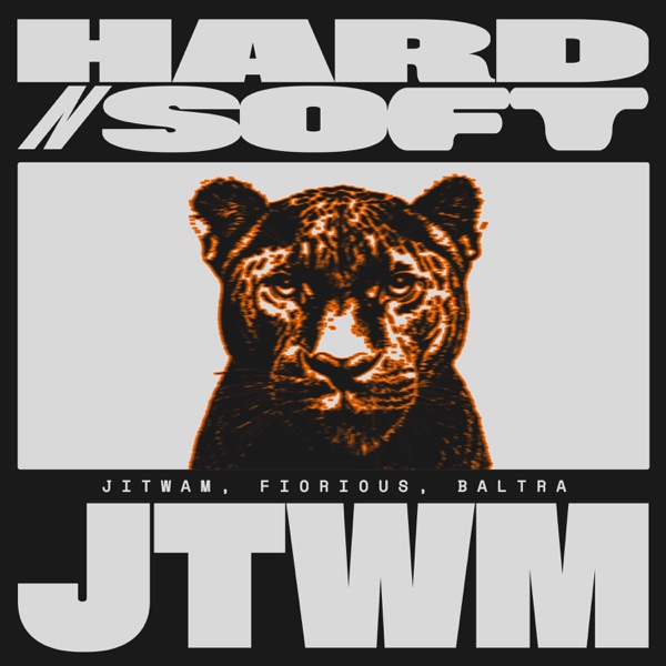 HARD N SOFT (BALTRA REMIX) - Single album cover