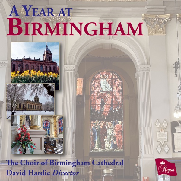 A Year at Birmingham album cover