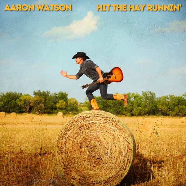 Hit The Hay Runnin' - Single album cover