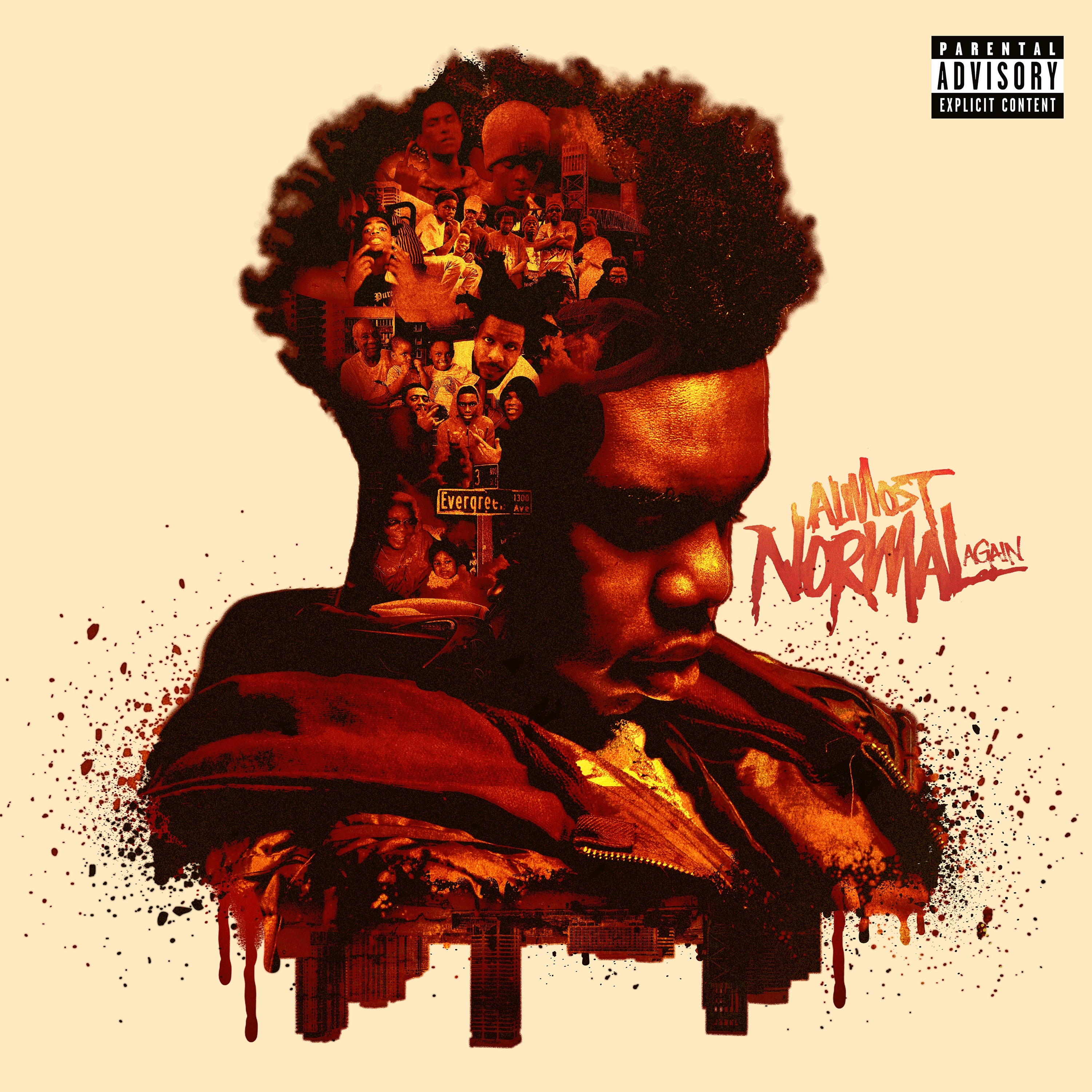 Almost Normal Again album cover