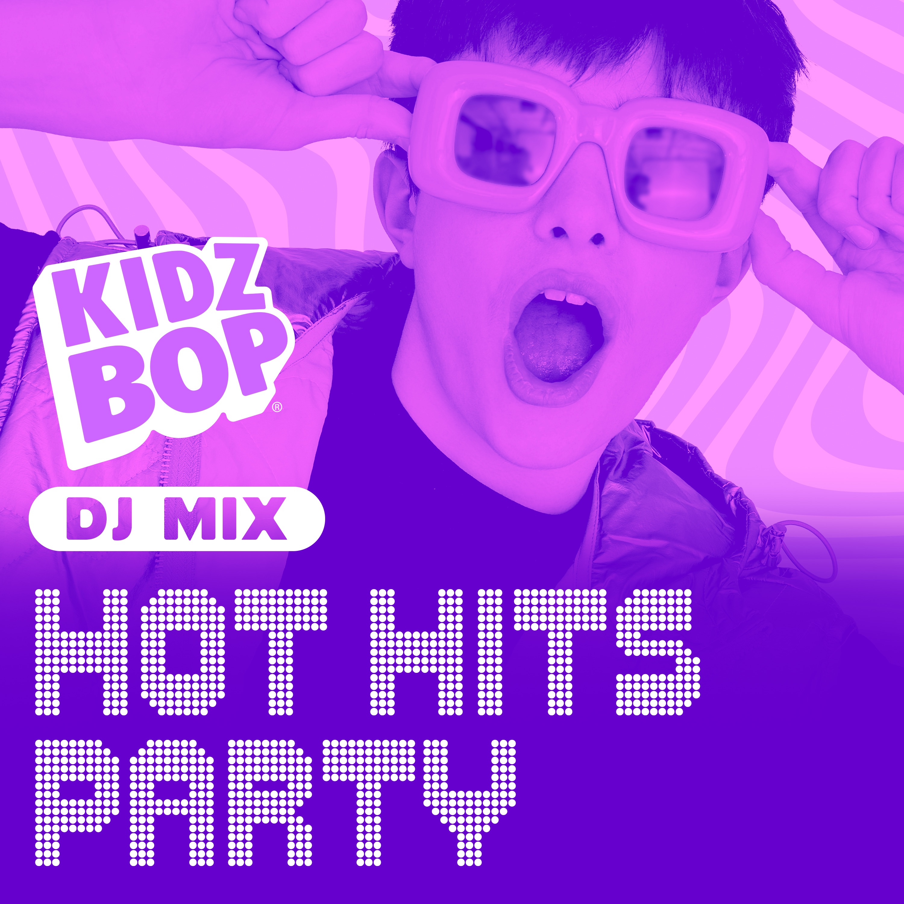 Hot Hits Party (Hot Hits DJ Mix) album cover