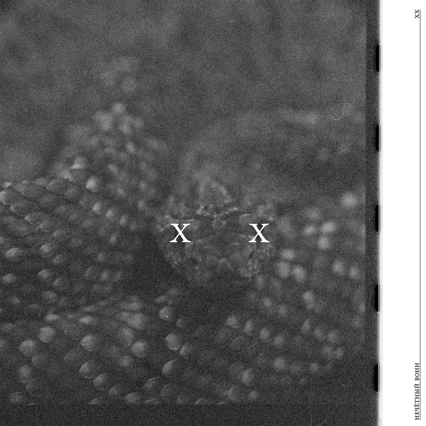 Нечётный воин XX album cover