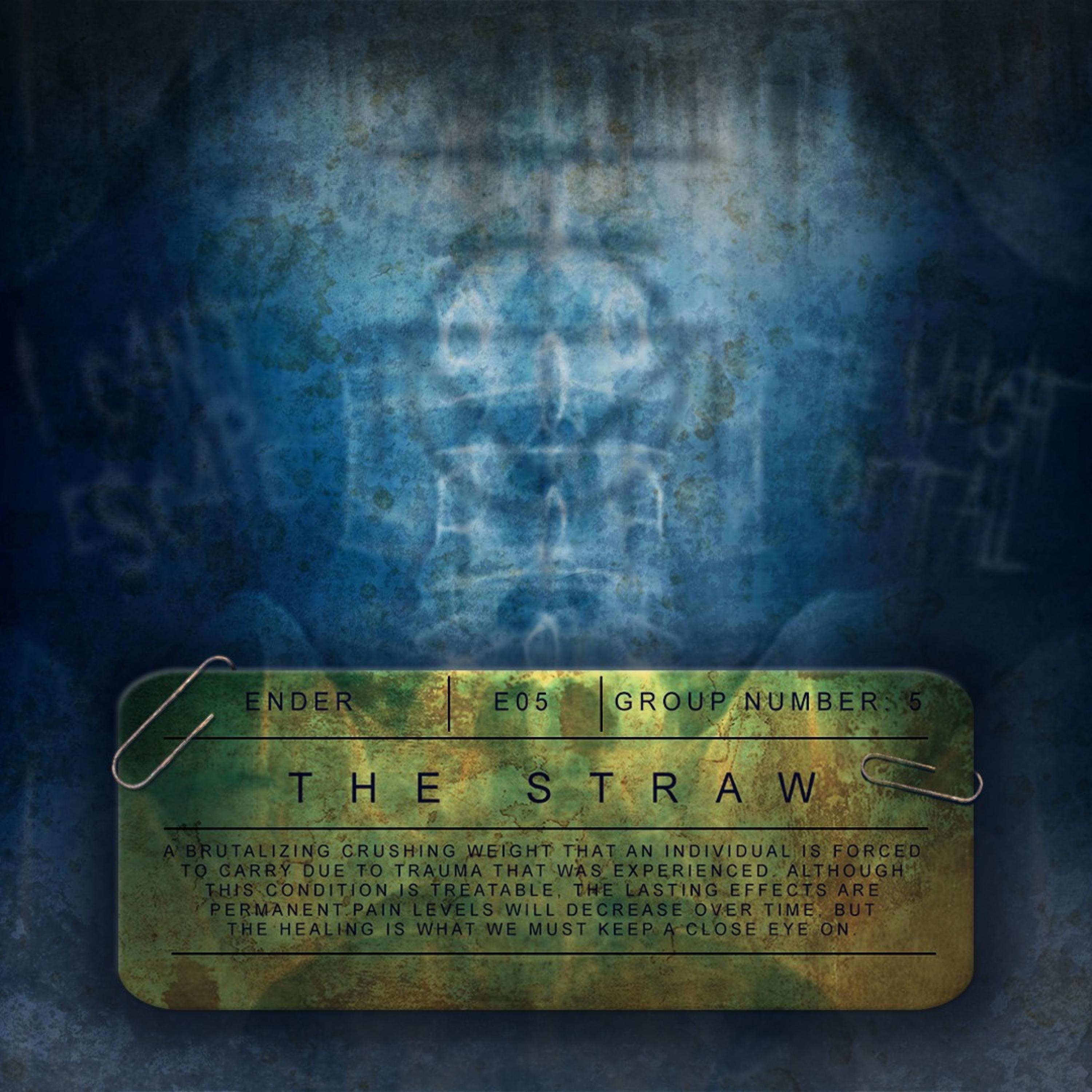 The Straw - Single album cover