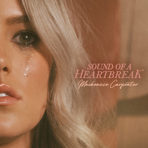Sound Of A Heartbreak - Single album cover