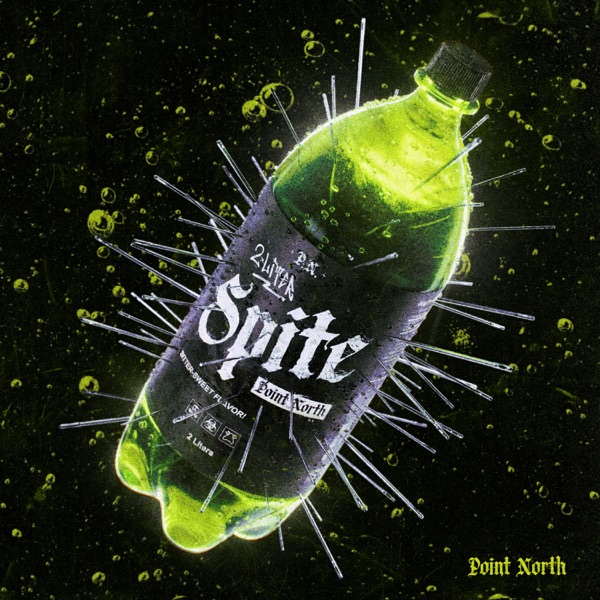 2 LITER SPITE - Single album cover