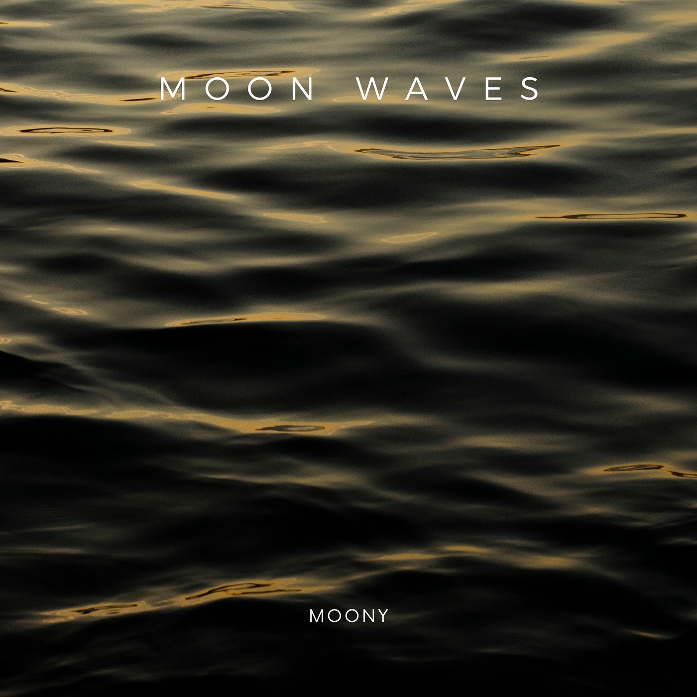 Moon Waves - Single album cover
