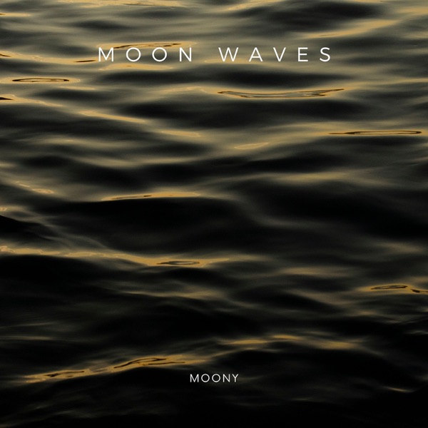 Moon Waves - Single album cover