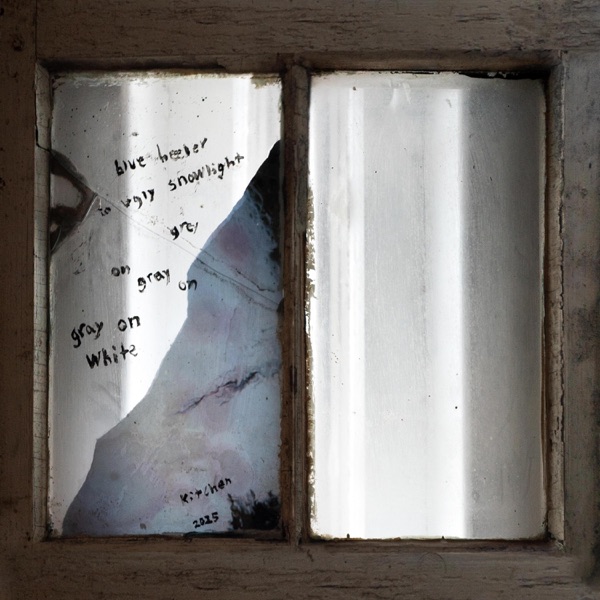 Blue Heeler in Ugly Snowlight, Grey on Gray on Gray on White album cover