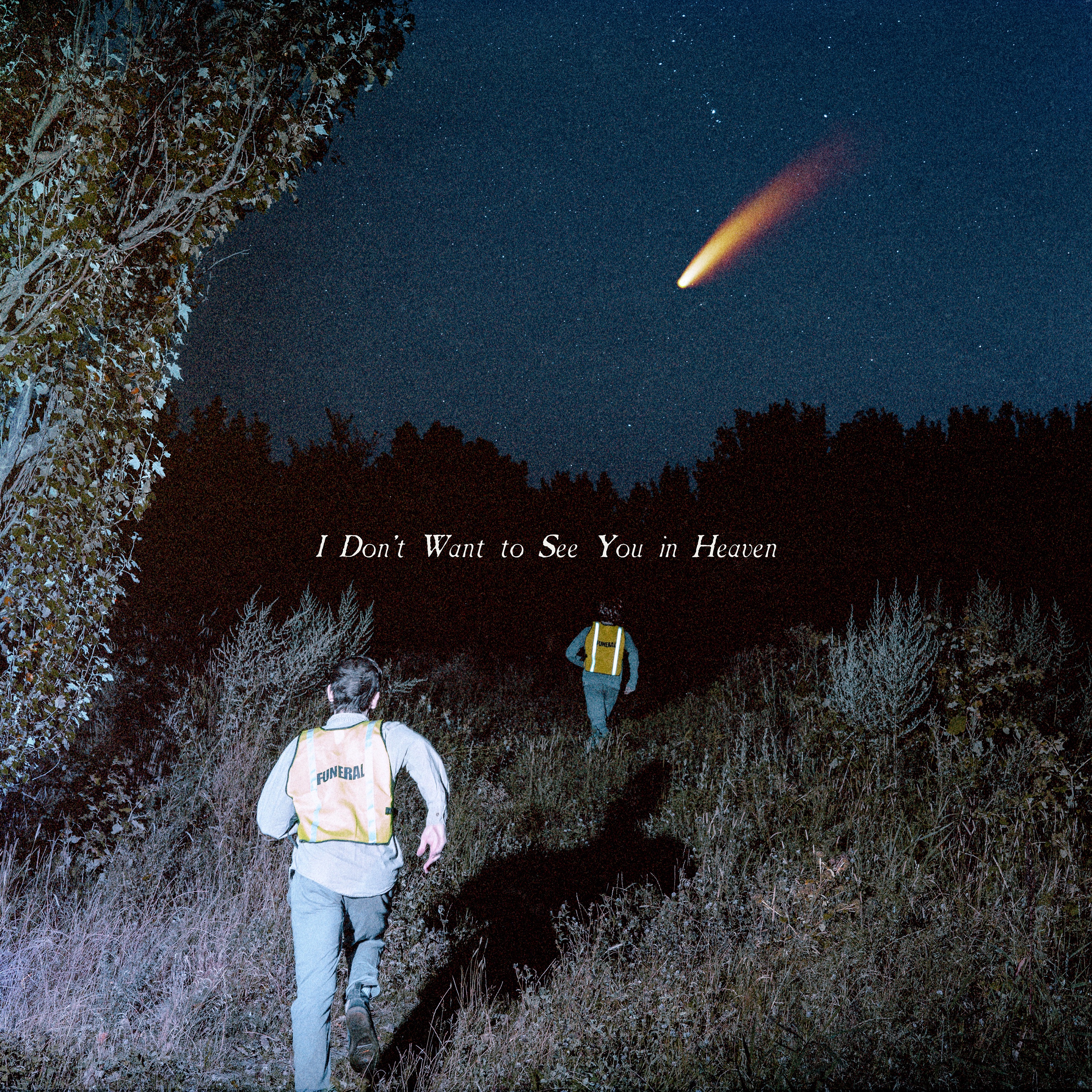 I Don’t Want to See You in Heaven album cover