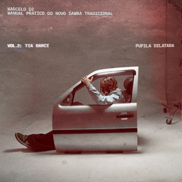 Manual Prático Do Novo Samba Tradicional, Vol. 2: TIA DARCI album cover