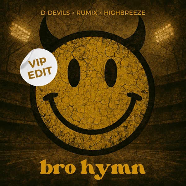 Bro Hymn (VIP Edit) - Single album cover