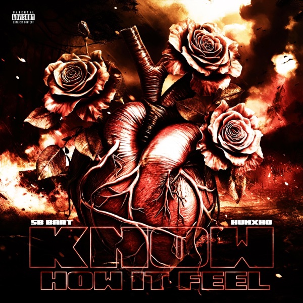 Know How It Feel Pt2 (feat. Hunxho) - Single album cover