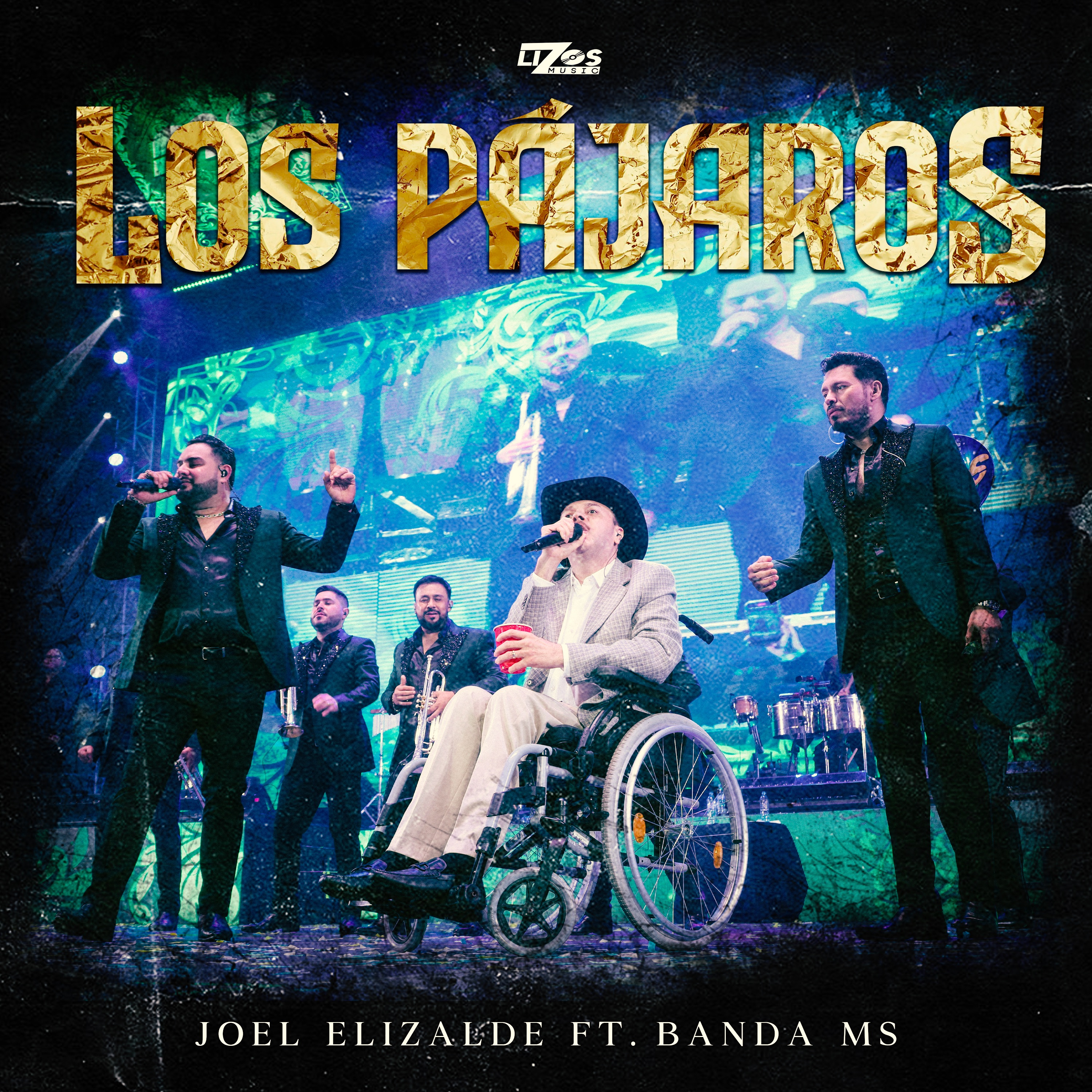 Los Pájaros - Single album cover