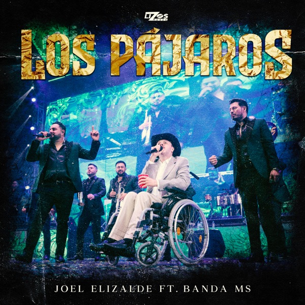 Los Pájaros - Single album cover