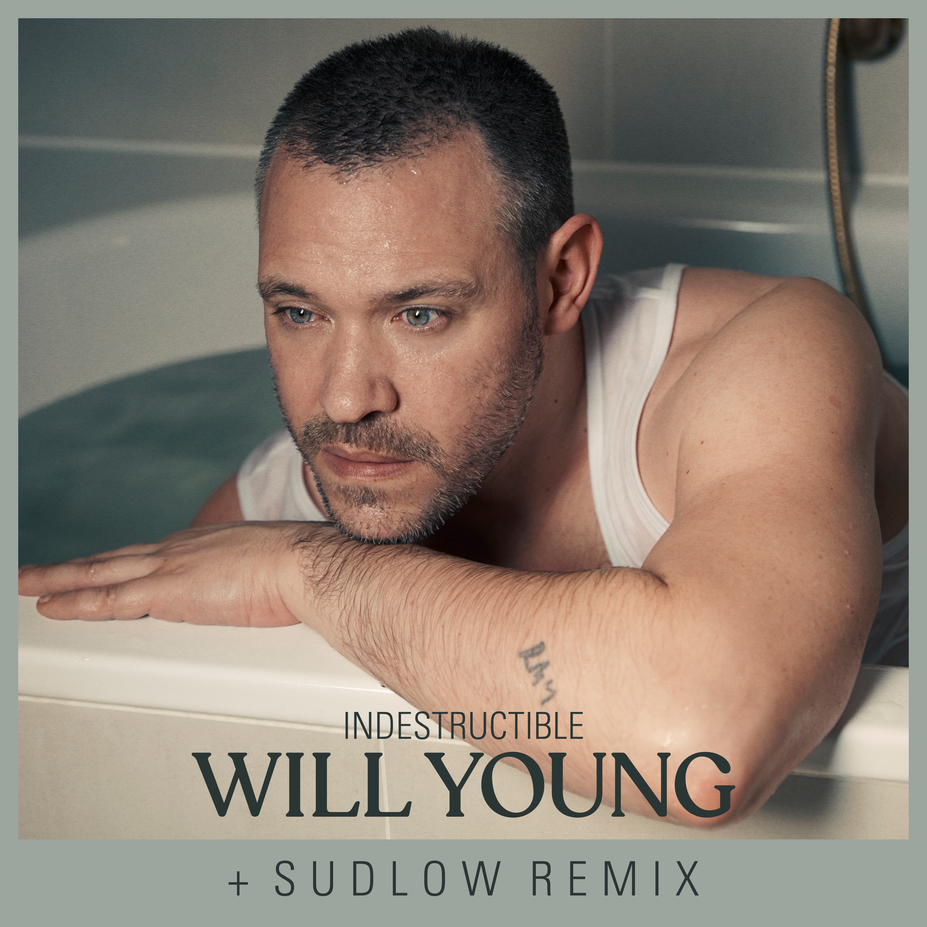 Indestructible (Sudlow Remix) - Single album cover