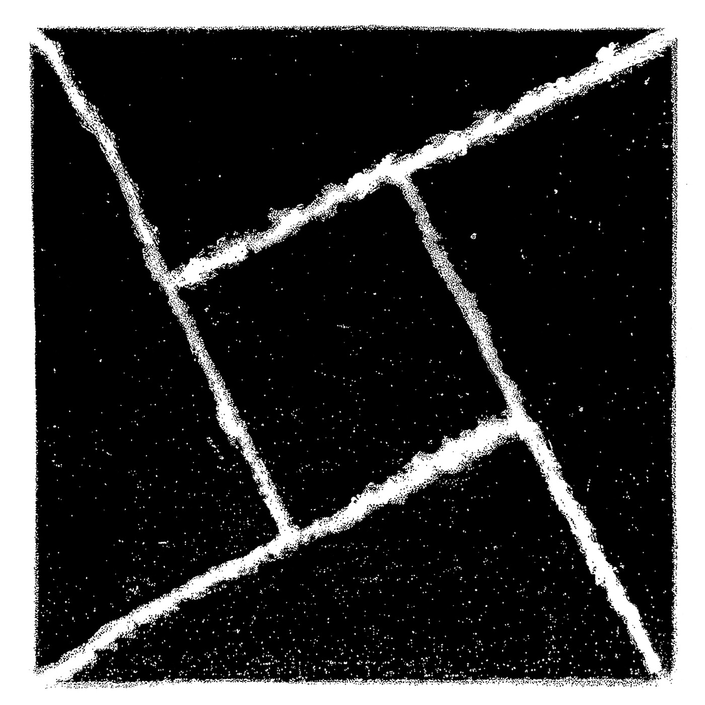 Follow the Light album cover