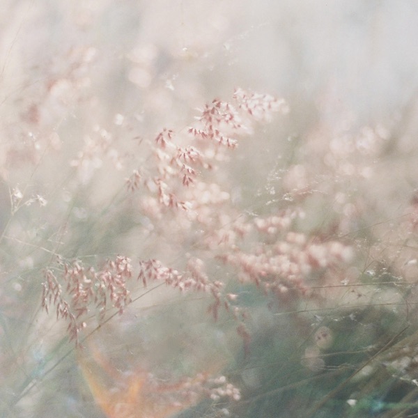 Longing - Single album cover