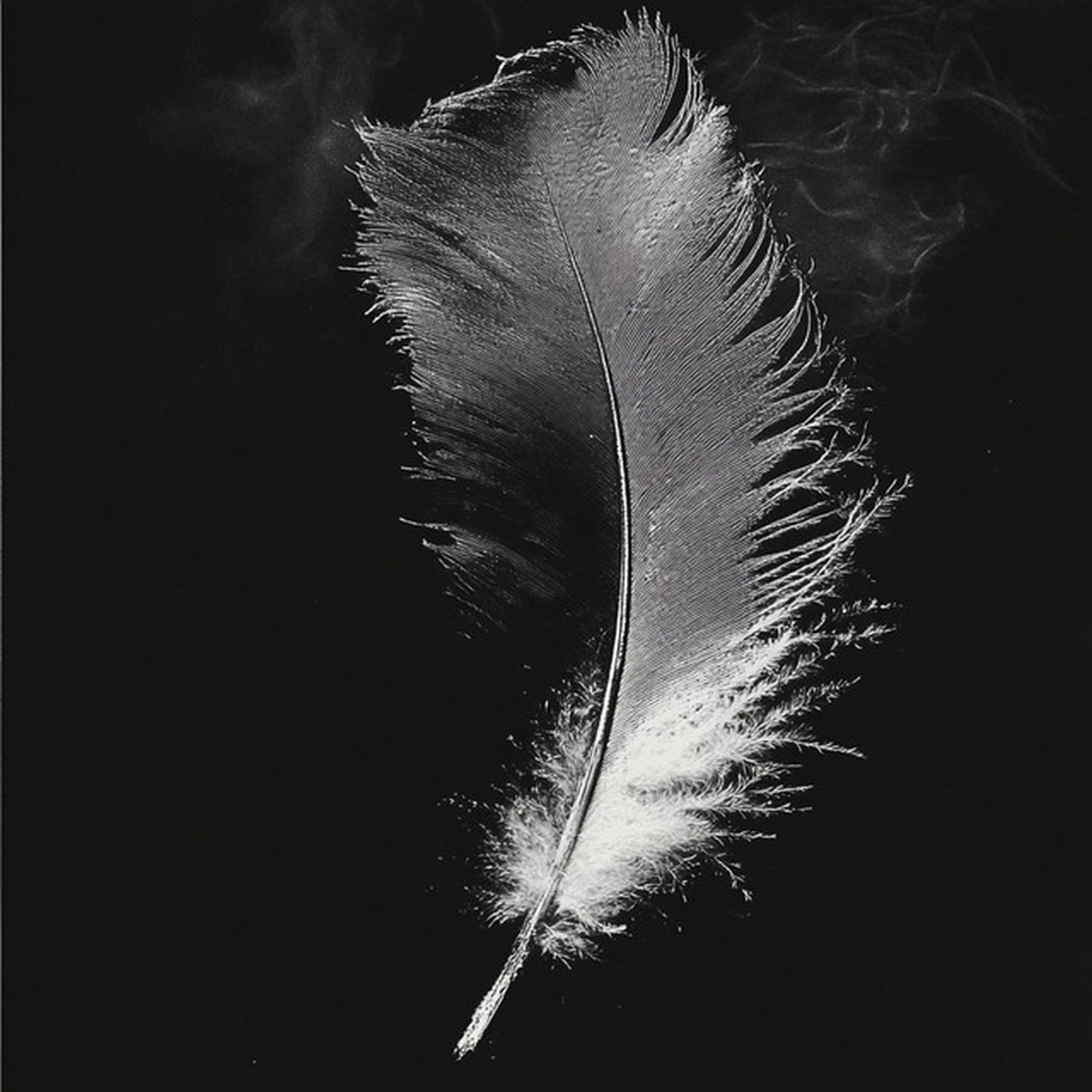 the winner is - Single album cover