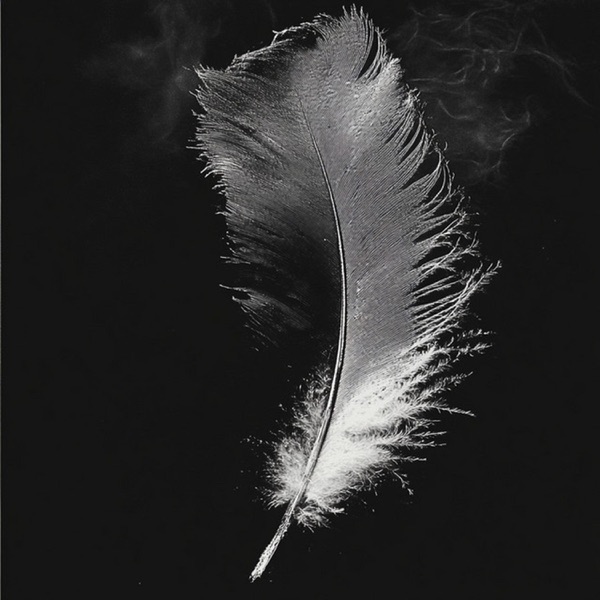 the winner is - Single album cover