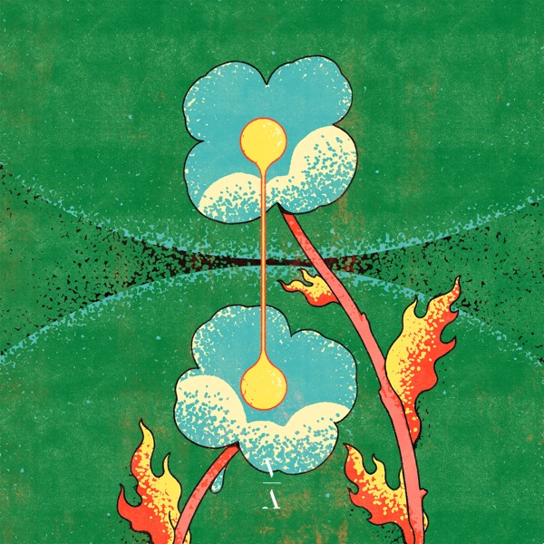 Tripwires album cover