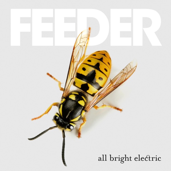 All Bright Electric (Deluxe Version) album cover