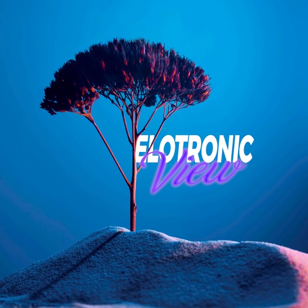 Elotronic view - Single album cover