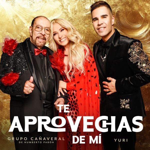 Te Aprovechas De Mí - Single album cover