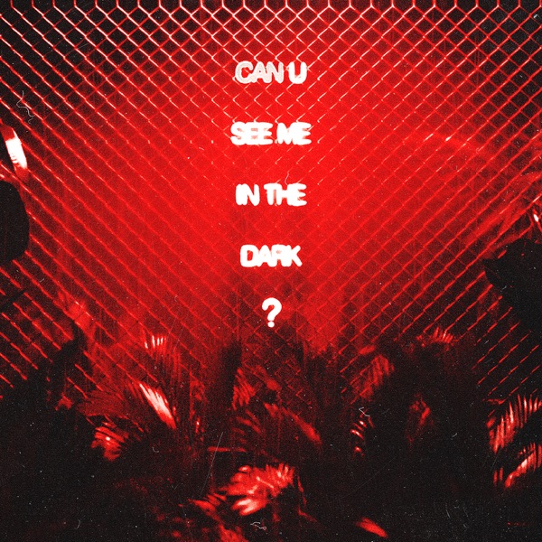 can u see me in the dark? - Single album cover